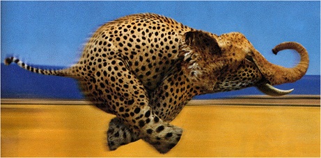 ¿La solución perfecta?